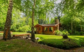 Cabañas En el Corazón del Bosque